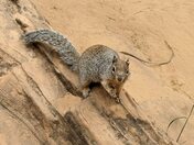 Zion National Park