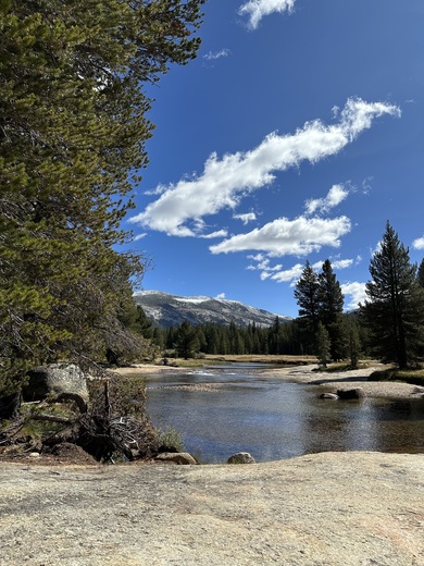 Yosemite National Park 