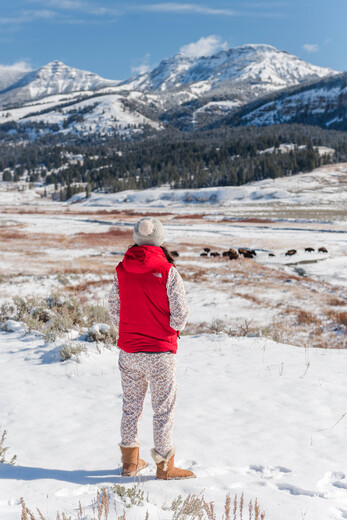 Yellowstone National Park