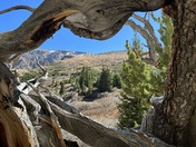 Arapaho and Roosevelt National Forests