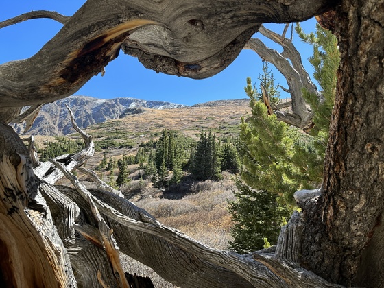 Arapaho and Roosevelt National Forests
