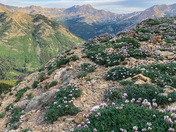 Pike and San Isabel National Forest