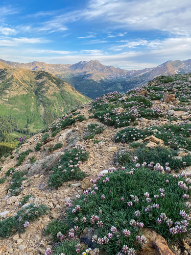 Pike and San Isabel National Forest