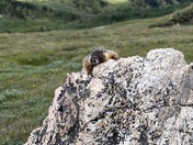Rocky Mountain National Park