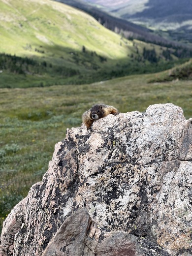 Rocky Mountain National Park