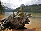 Sawtooth National Forest