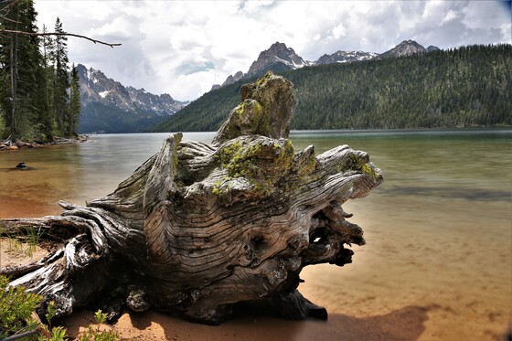 Sawtooth National Forest