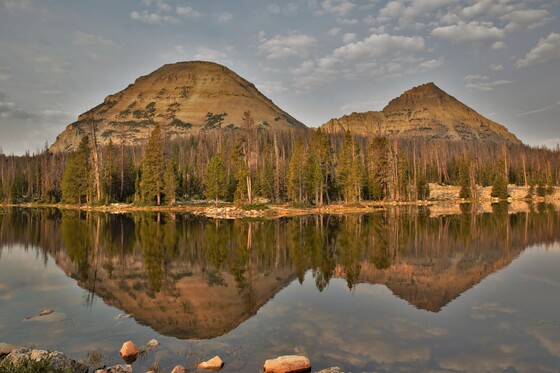 Uinta-Wasatch-Cache National Forest