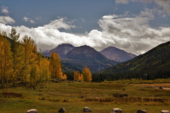 Uinta-Wasatch-Cache National Forest