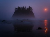 Olympic National Park