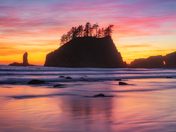 Olympic National Park