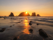 Olympic National Park
