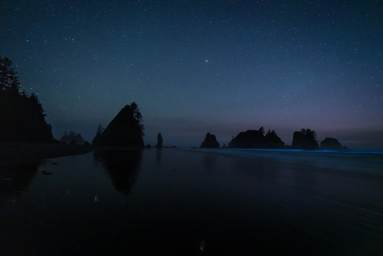 Olympic National Park