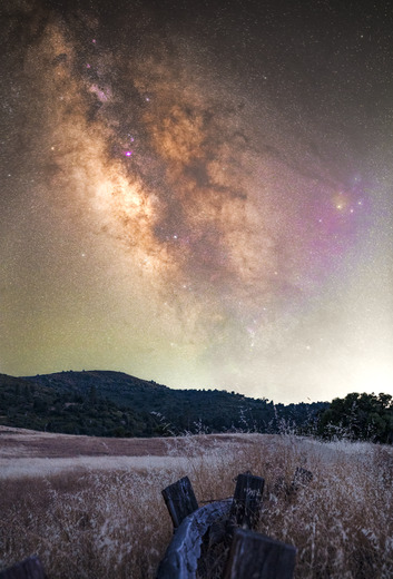 Cleveland National Forest