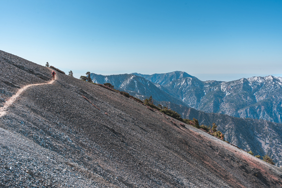 Devil’s Backbone Trail on Mount San Antonio
