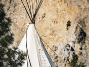 Take me to the river..  