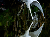 Chincoteague National Wildlife Refuge