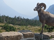 Glacier National Park 