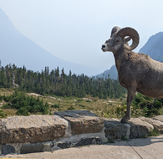 Glacier National Park 