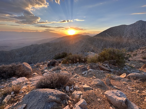 Joshua Tree National Park