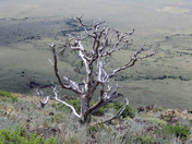Capulin Volcano National Monument