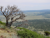 Capulin Volcano National Monument