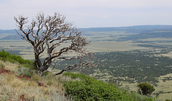 Capulin Volcano National Monument