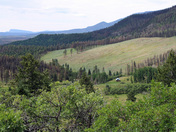 Carson National Forest