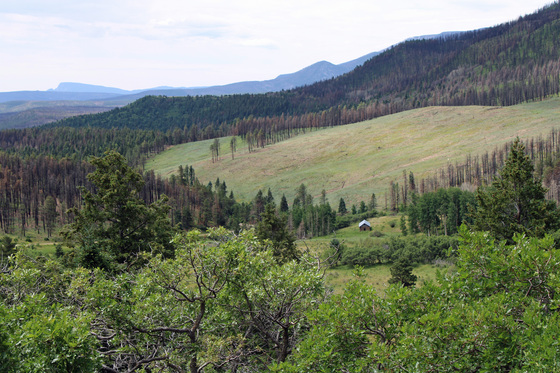 Carson National Forest