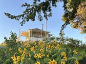 Deadwood Lookout 