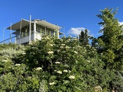 Deadwood Lookout 