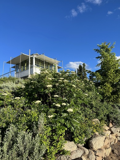 Deadwood Lookout 