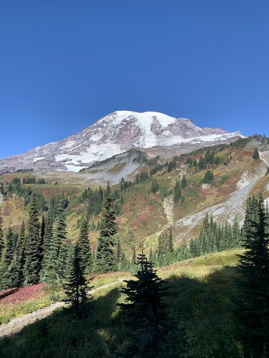 Mount Rainier National Park 