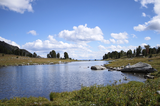 Gallatin Nationl Forest