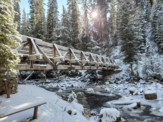 Gallatin National Forest