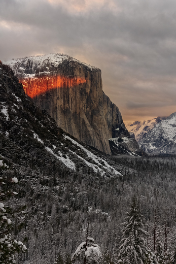 Yosemite National Park