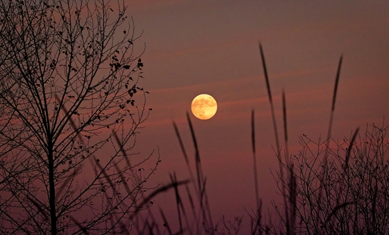 Finley Wildlife Refuge