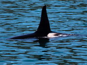 Kenai Fjords National Park