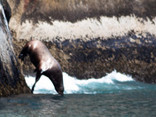 Kenai Fjords National Park