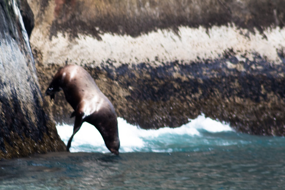 Kenai Fjords National Park
