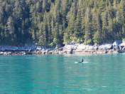 Kenai Fjords National Park