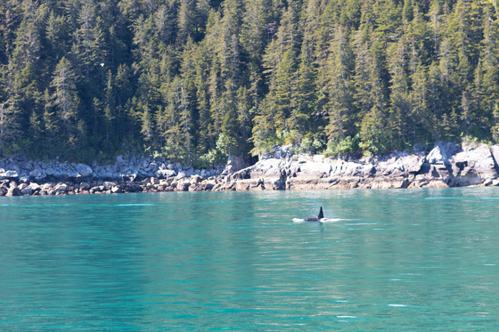 Kenai Fjords National Park