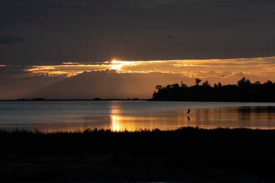 Dungeness National Wildlife Refuge