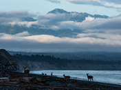 Dungeness National Wildlife Refuge