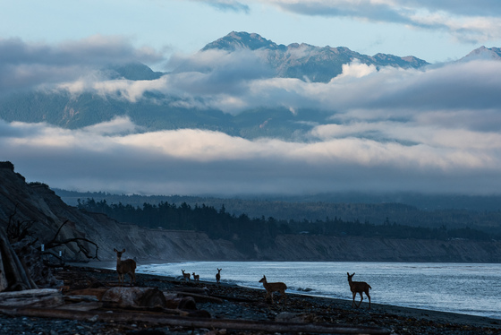 Dungeness National Wildlife Refuge