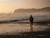 Olympic National Park