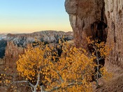 Bryce canyon national park