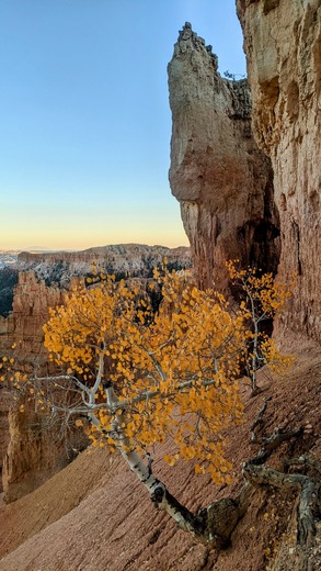Bryce canyon national park