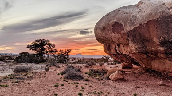 Canyonlands Needles district
