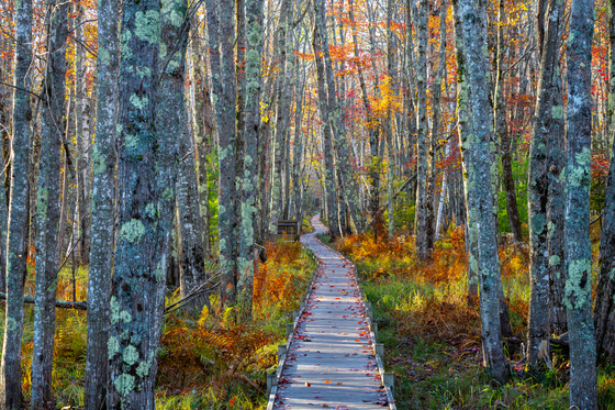 Acadia National Park